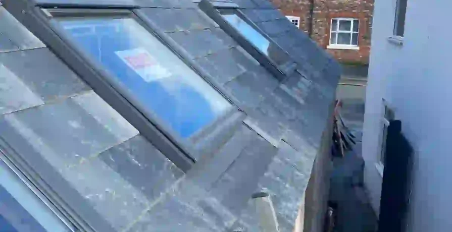 PHOTO-2026-01-23-19-21-41 5